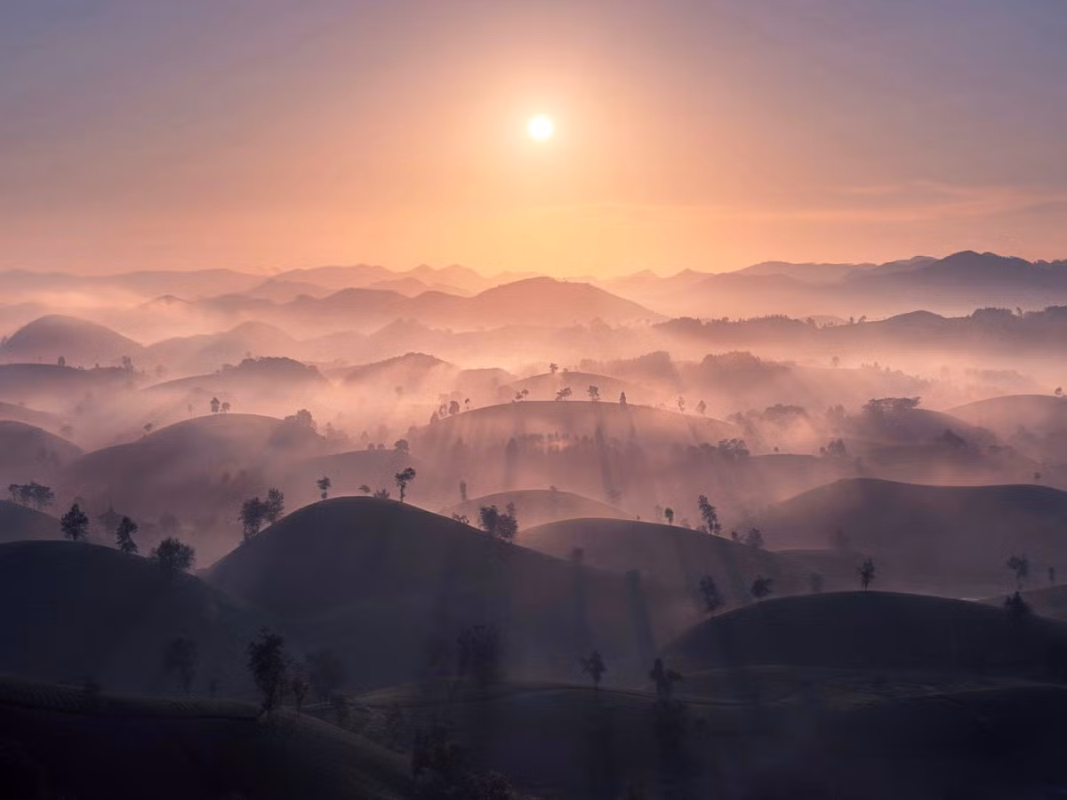 Đồi chè Long Cốc thuộc xã Long Cốc, tỉnh Phú Thọ, cách Hà Nội khoảng 125km. Với diện tích hàng trăm hecta, nơi đây sở hữu hàng chục quả đồi phủ kín trà xanh, nối liền nhau như một bức tranh sóng lượn không hồi kết. Ảnh Đức Ngô