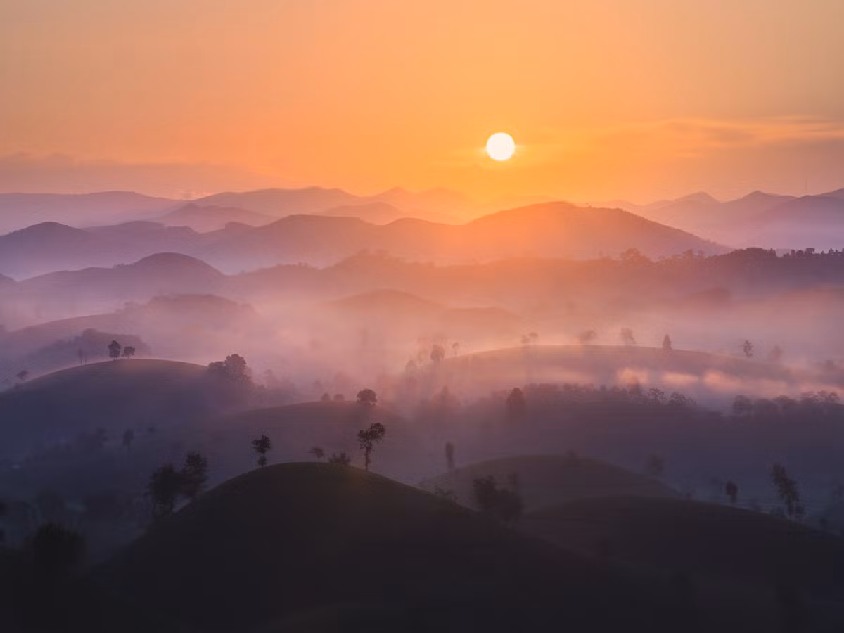 Vào những ngày hè trong xanh, đồi chè Long Cốc (Phú Thọ) như được khoác lên mình chiếc áo xanh mướt, rực rỡ dưới nắng vàng. Không quá xa Hà Nội, nơi đây trở thành điểm đến lý tưởng cho những ai muốn tạm gác lại nhịp sống vội vã, đắm chìm trong thiên nhiên và săn về những bức ảnh “để đời”. Ảnh Đức Ngô