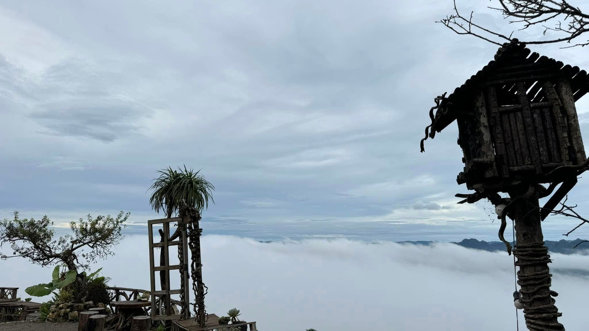 Để bắt trọn khoảnh khắc này, không ít người lựa chọn di chuyển từ rất sớm, thậm chí lên núi từ tối hôm trước. Trên đỉnh, một quán cà phê nhỏ được dựng lên đơn giản, chủ yếu phục vụ đồ uống nóng như cà phê, trà gừng, ca cao… giúp du khách vừa sưởi ấm, vừa thong thả ngắm mây trôi giữa núi rừng. Ảnh Tiệm cà phê Mu Náu Ơi