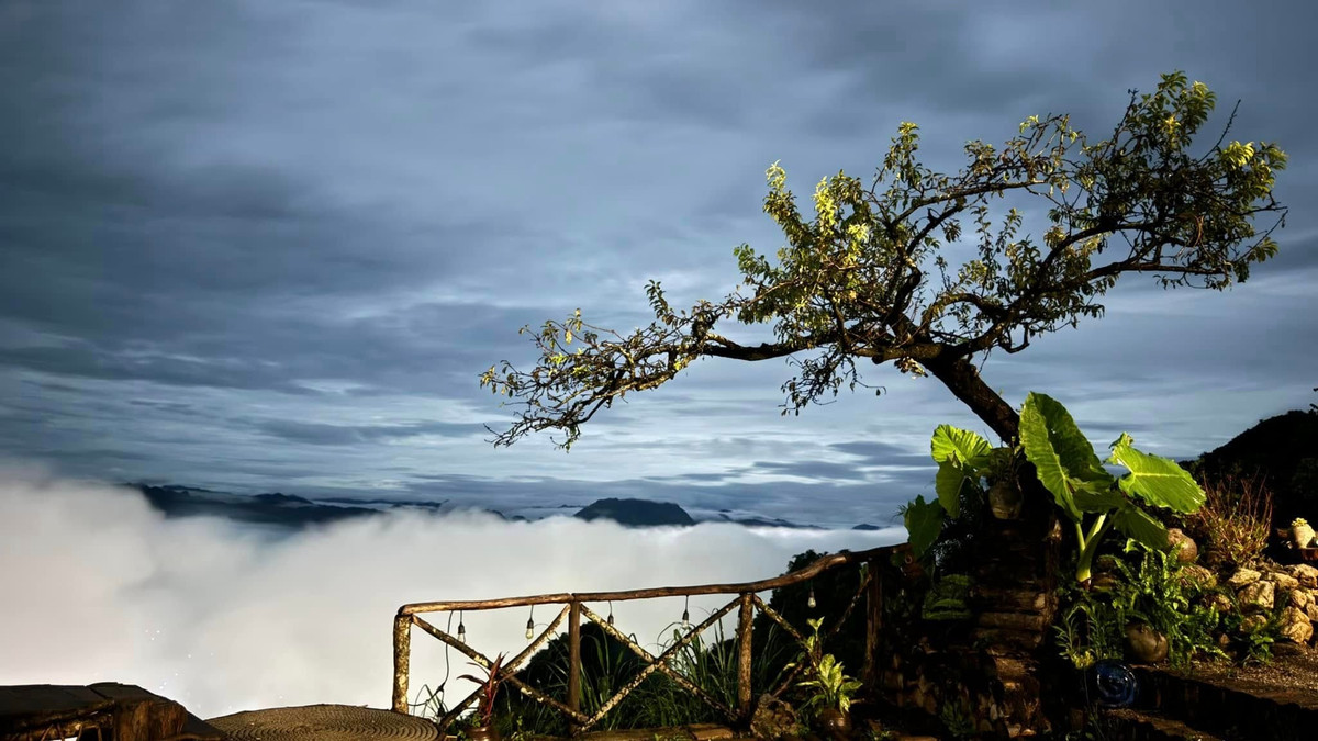 Không gian trên đỉnh núi gần như tách biệt hoàn toàn với khu dân cư, mang lại cảm giác tĩnh lặng hiếm có. Chỉ có gió núi, mây trời và sắc xanh của rừng bao quanh, Mu Náu trở thành điểm dừng chân lý tưởng cho những ai muốn tìm lại sự thư thái giữa thiên nhiên. Ảnh Tiệm cà phê Mu Náu Ơi