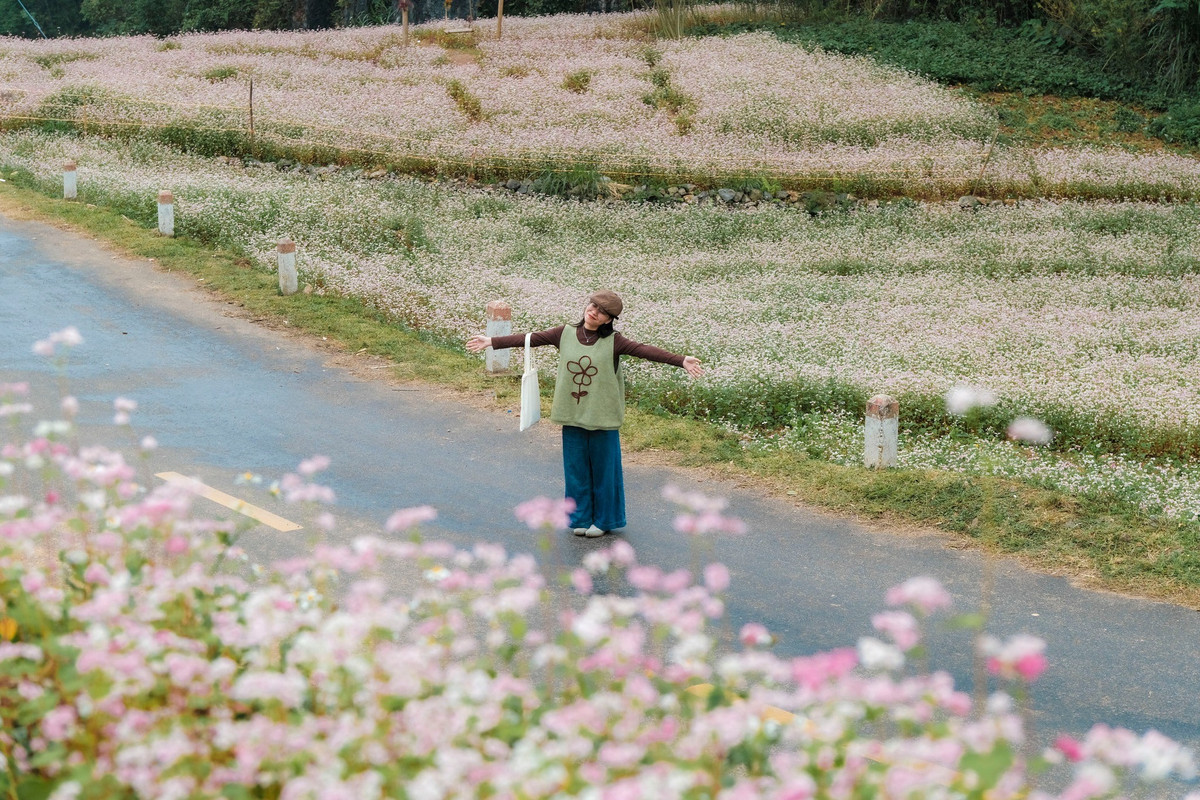 Ở cực Bắc, Hà Giang đang rực rỡ sắc hoa tam giác mạch. Lễ hội Hoa tam giác mạch 2025, dự kiến tổ chức cuối tháng 11 với chủ đề “Miền đá nở hoa”, có triển lãm sản phẩm OCOP, cuộc thi ảnh và không gian văn hóa vùng cao. Cột cờ Lũng Cú, sông Nho Quế, đèo Mã Pí Lèng vẫn là những tọa độ check-in không thể bỏ lỡ. Ảnh Ba đứa mình