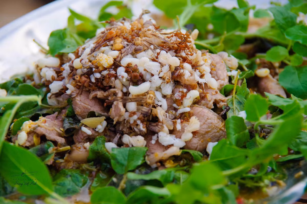 Bên cạnh đó, kiến vàng – linh hồn của món ăn – được người dân vào rừng săn tìm. Không chỉ là nguyên liệu đặc trưng của Tri Tôn, kiến vàng còn mang lại vị chua thanh tự nhiên mà không loại gia vị nào thay thế được. Ảnh Dương Việt Anh