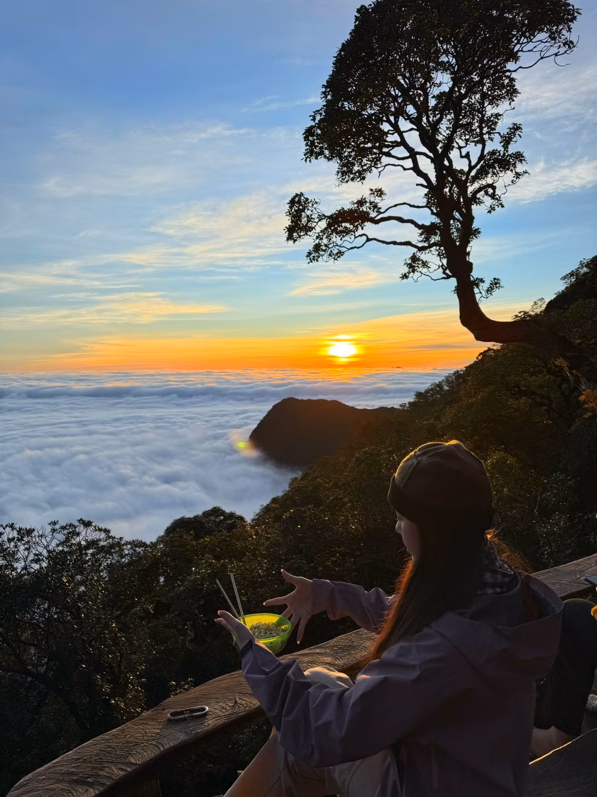 Miền Bắc đang chịu tác động của không khí lạnh mạnh, khiến nhiều đỉnh núi khác như Mẫu Sơn (Lạng Sơn), Pha Đin (Điện Biên), Sa Pa (Lào Cai), Đồng Văn (Tuyên Quang) hay Tam Đảo (Phú Thọ) cũng xuất hiện băng giá với nhiệt độ từ 3–8°C. Không khí lạnh kết hợp với quang mây tạo điều kiện thuận lợi cho hiện tượng băng giá xuất hiện sớm trên các đỉnh núi cao, trong đó có Tà Xùa. Ảnh Huyen Anh