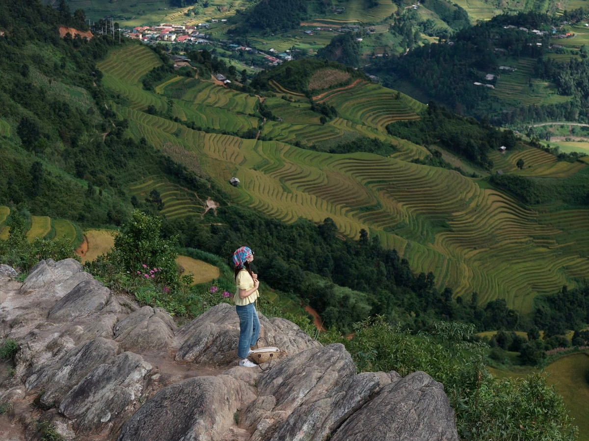 Mỗi độ thu về, những thửa ruộng bậc thang ở vùng cao Tây Bắc lại khoác lên mình chiếc áo vàng óng ả. Tại Lào Cai, du khách có thể chiêm ngưỡng trọn vẹn vẻ đẹp ấy từ một tọa độ đặc biệt mang tên “sống lưng khủng long” điểm check-in độc đáo giữa núi rừng đại ngàn. Ảnh Nung's Lý
