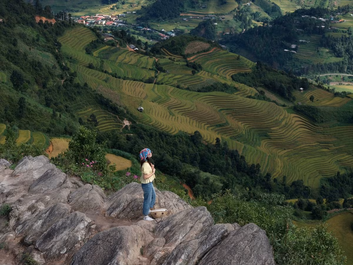 Mỗi độ thu về, những thửa ruộng bậc thang ở vùng cao Tây Bắc lại khoác lên mình chiếc áo vàng óng ả. Tại Lào Cai, du khách có thể chiêm ngưỡng trọn vẹn vẻ đẹp ấy từ một tọa độ đặc biệt mang tên “sống lưng khủng long” điểm check-in độc đáo giữa núi rừng đại ngàn. Ảnh Nung's Lý