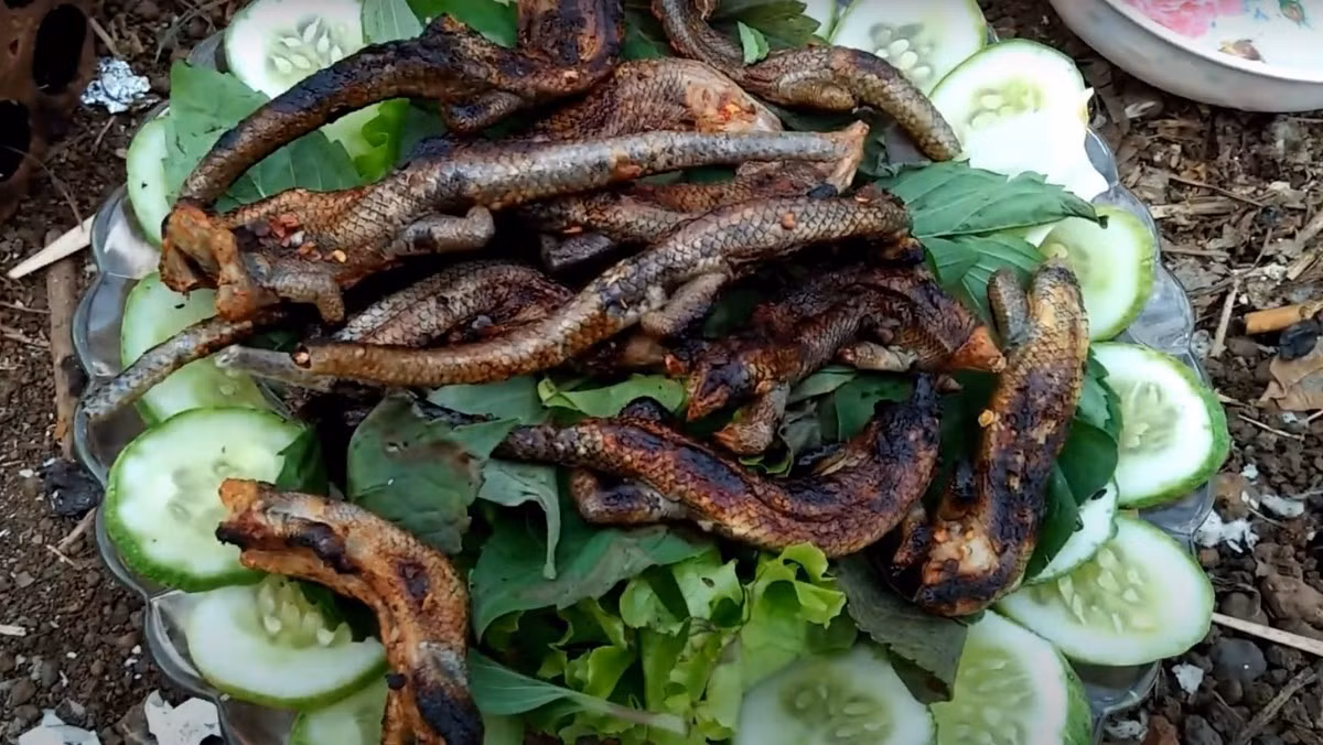 Ngoài ra, rắn mối xào sả ớt cũng là lựa chọn được ưa chuộng với phần thịt săn chắc, đậm vị, cay nồng hòa quyện cùng hương thơm của sả, rất bắt cơm. Món rắn mối chiên giòn lại mang đến trải nghiệm khác biệt với lớp vỏ giòn rụm bên ngoài, phần thịt bên trong mềm ngọt, béo bùi, thích hợp cho những buổi nhậu dân dã. Không ít người miền Tây vẫn thường kháo nhau rằng: “Thịt rắn mối ngon hơn gà, ngọt hơn cá”, một khi đã ăn thử thì khó mà quên. Ảnh Bá Di