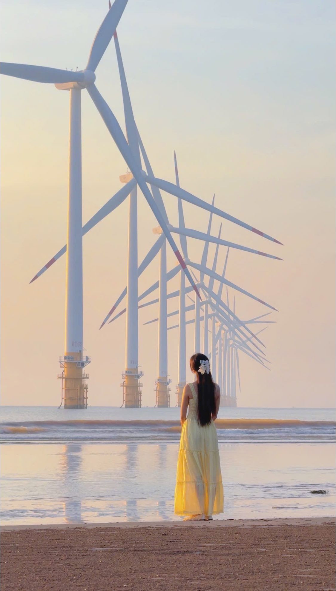 Bình minh trên biển Ba Động vì thế không chỉ là khoảnh khắc thiên nhiên mà còn là sự kết nối giữa con người và biển cả, giữa nhịp sống hiện đại và nhịp sống mộc mạc của miền sông nước. Ảnh Nguyễn Thu Thuỷ