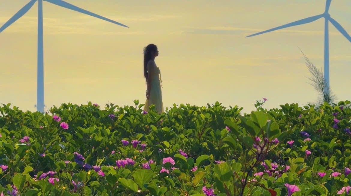 Biển Ba Động, nằm ở phường Trường Long Hòa, thành phố Vĩnh Long (trước đây thuộc xã Trường Long Hòa, TX.Duyên Hải, Trà Vinh), sở hữu dải bờ biển dài cùng hàng trụ điện gió hùng vĩ vươn mình ra Biển Đông. Ảnh Nguyễn Thu Thuỷ