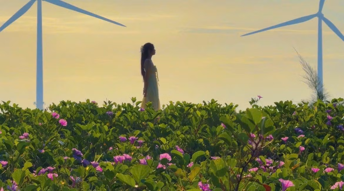 Biển Ba Động, nằm ở phường Trường Long Hòa, thành phố Vĩnh Long (trước đây thuộc xã Trường Long Hòa, TX.Duyên Hải, Trà Vinh), sở hữu dải bờ biển dài cùng hàng trụ điện gió hùng vĩ vươn mình ra Biển Đông. Ảnh Nguyễn Thu Thuỷ