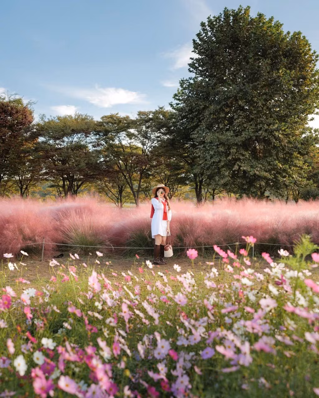 Nằm tại địa chỉ 15, Misa-dong, Hanam, Gyeonggi-do, công viên cách thủ đô Seoul không xa, thuận tiện cho du khách kết hợp tham quan nhiều điểm du lịch lân cận. Ảnh IG_ mimm_taste