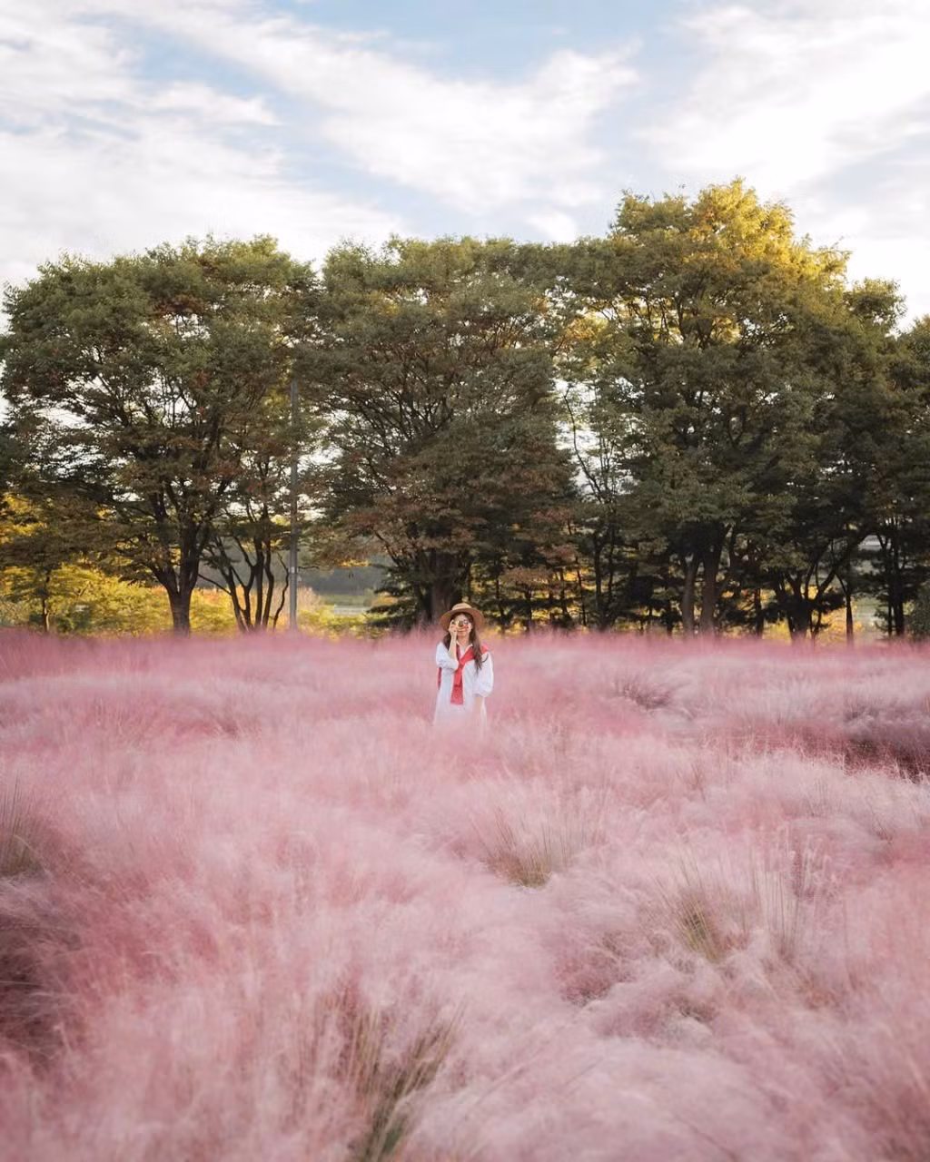 Không chỉ đẹp, công viên Misa Gyeongjeong còn là điểm đến miễn phí tham quan (du khách chỉ cần trả phí gửi xe). Đây là một điểm cộng lớn, giúp mọi người thoải mái tận hưởng không khí trong lành, vừa dạo chơi vừa ghi lại khoảnh khắc đáng nhớ cùng gia đình, bạn bè. Ảnh IG_ mimm_taste