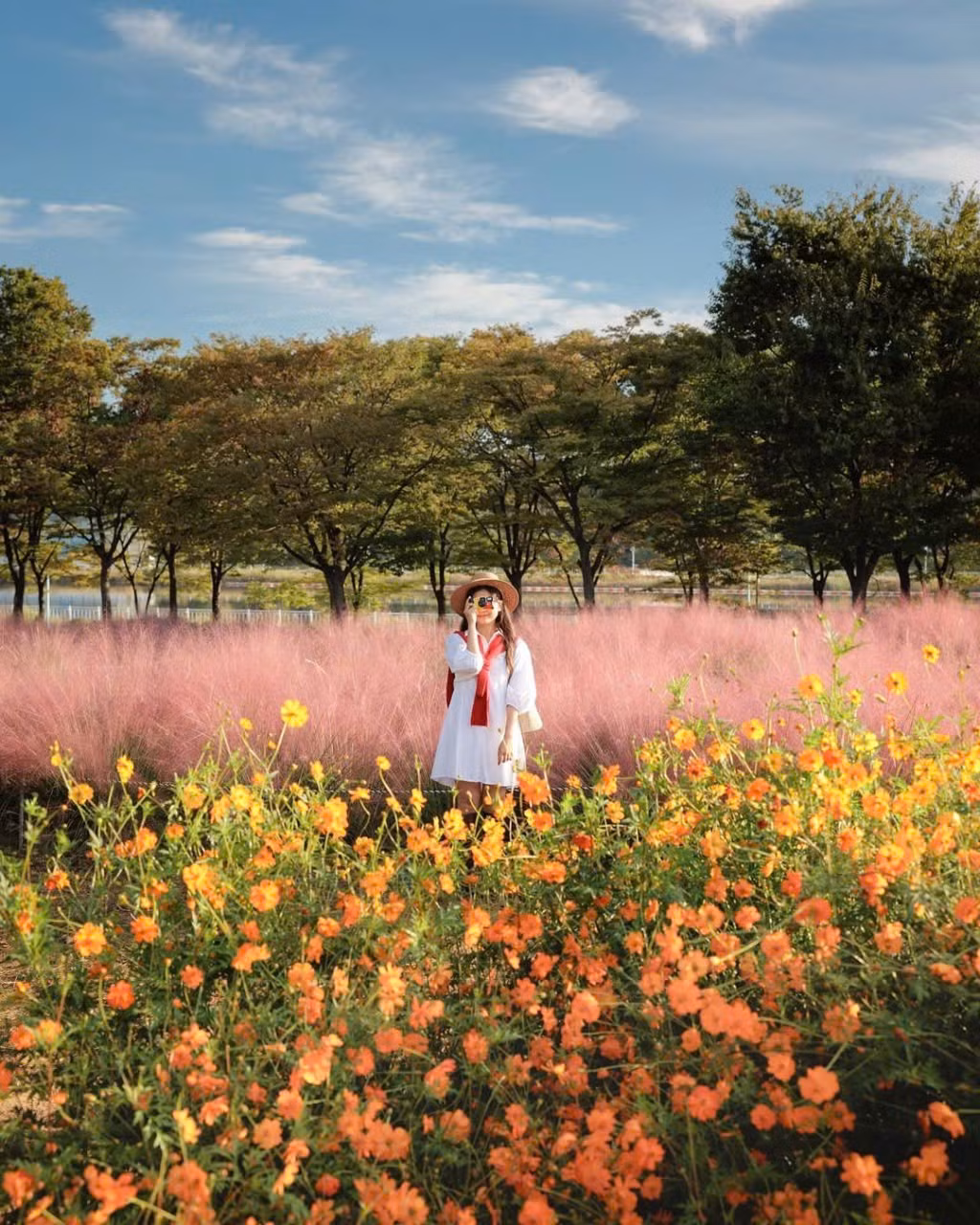 Ngoài ra, thời điểm lý tưởng nhất để ghé công viên là từ nay đến giữa tháng 10, khi cỏ hồng đang nở rộ và giữ được màu sắc đẹp nhất. Ảnh IG_ mimm_taste