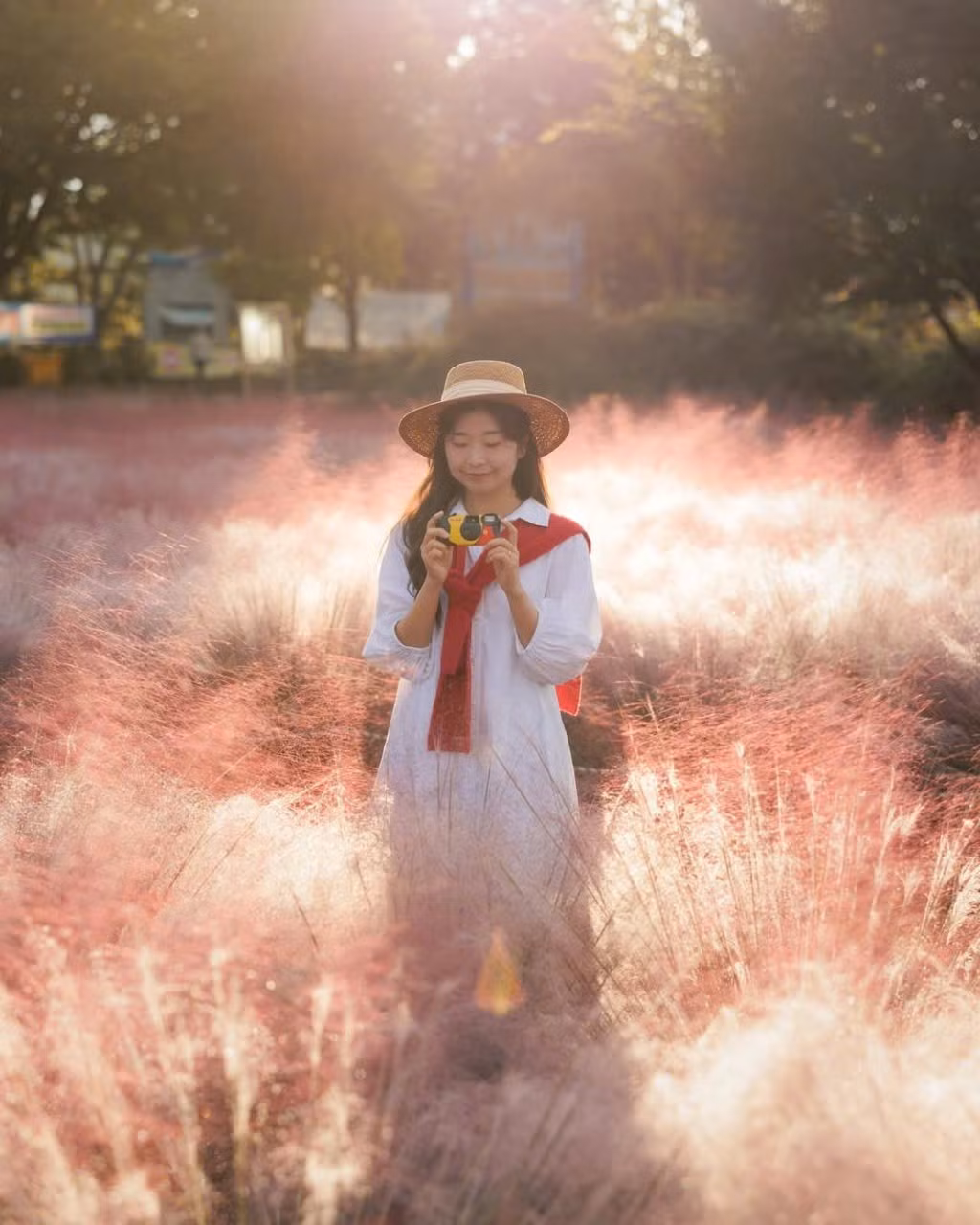 Theo chia sẻ từ các travel blogger, nếu muốn bức hình nổi bật giữa thảm cỏ hồng, du khách nên chọn trang phục sáng màu, nhẹ nhàng. Ảnh IG_ mimm_taste