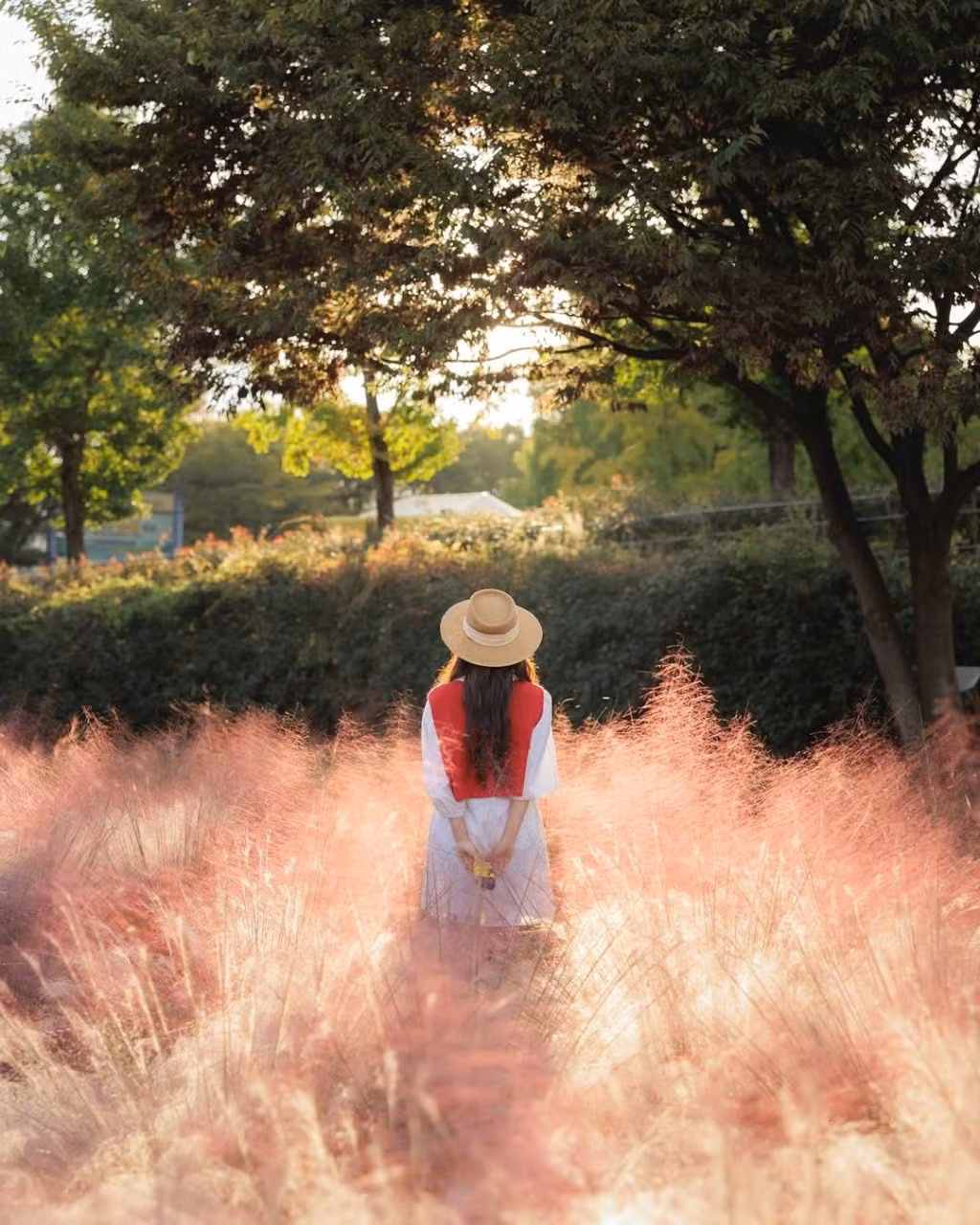 Chính vì vậy, chỉ cần giơ máy ảnh lên, du khách đã dễ dàng có ngay những bức hình “triệu like” trên mạng xã hội. Ảnh IG_ mimm_taste