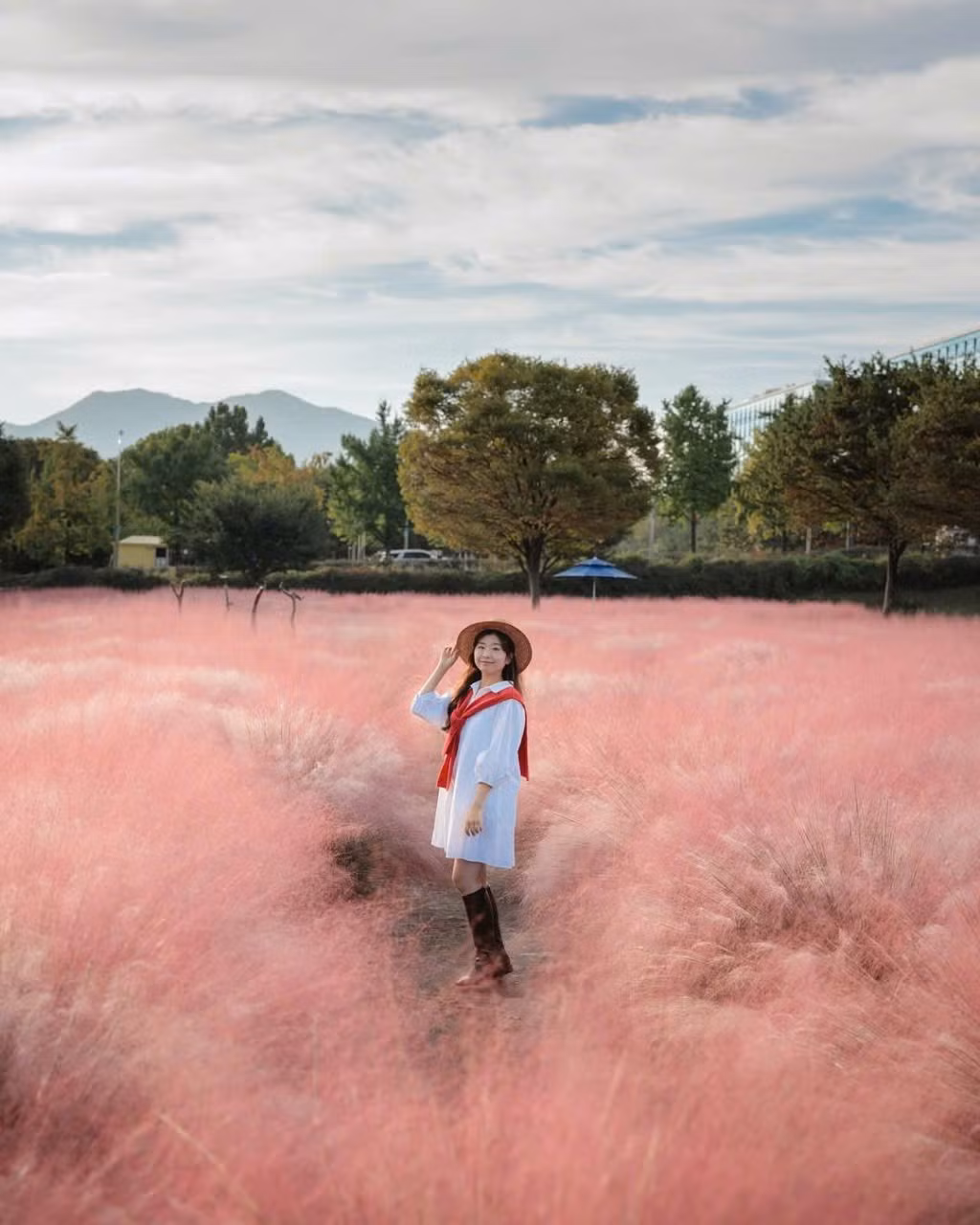 Từ đầu tháng 10, nơi đây được phủ kín bởi những thảm cỏ hồng bạc trải dài, tạo nên khung cảnh bồng bềnh, mộng mơ chẳng khác gì trong truyện cổ tích. Ảnh IG_ mimm_taste