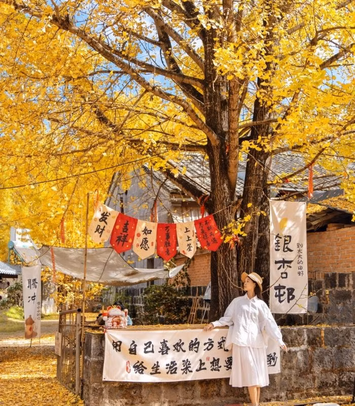 Vietravel cũng có tour 6 ngày 5 đêm “Thu Vàng Vân Nam”, kết hợp các điểm nổi tiếng như Bảo Sơn, Đại Lý cùng làng Ngân Hạnh. Ảnh Luhanhvietnam