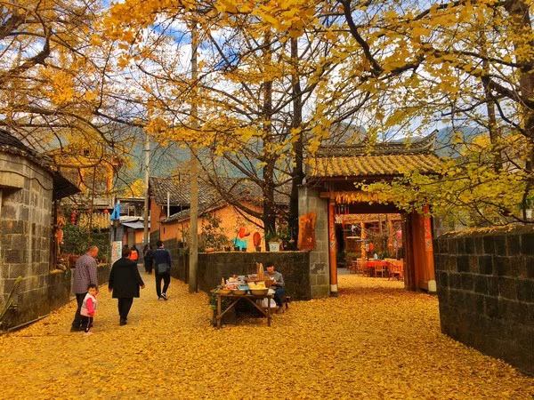 Khung cảnh yên bình, tĩnh lặng, kết hợp với không khí trong lành, khiến Đằng Xung trở thành điểm dừng chân không thể bỏ qua trong hành trình khám phá Vân Nam. Ảnh KimLienTravel