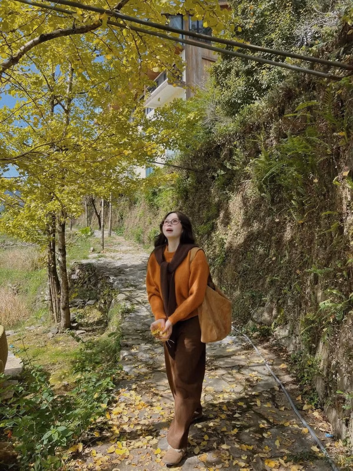 Để trải nghiệm trọn vẹn khung cảnh, du khách nên đến vào sáng sớm hoặc chiều muộn – thời điểm ánh sáng dịu nhẹ, lá vàng tỏa sáng rực rỡ.Ảnh langthangvietnamglt