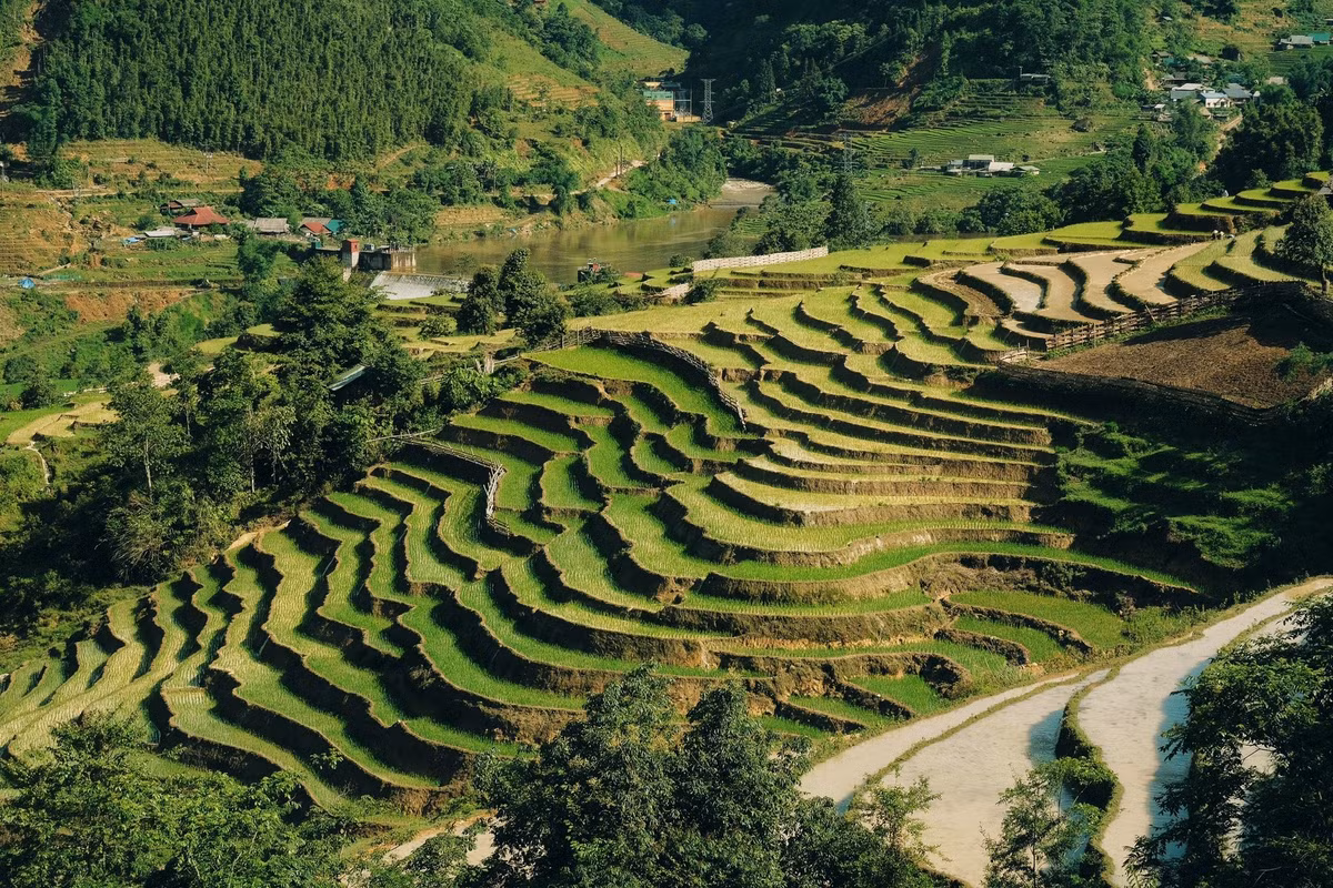 Để hành trình về với Y Tý thêm trọn vẹn, du khách có thể lựa chọn các tour du lịch trọn gói do các công ty lữ hành uy tín tổ chức. Hiện nay, nhiều doanh nghiệp đã thiết kế các tuyến tour mùa lúa non với thời gian linh hoạt từ 2 đến 3 ngày, khởi hành từ Hà Nội. PYS Travel đang có tour 2 ngày 1 đêm đi Y Tý – Ngải Thầu săn mây, khám phá ruộng bậc thang với giá khoảng 1.980.000 đồng/người. Ảnh Tuyên Parafu