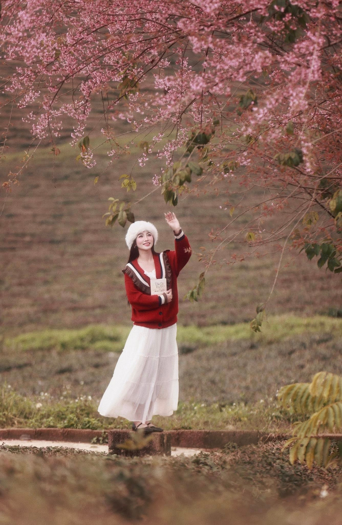 Những ngày cuối năm, trong tiết trời se lạnh đặc trưng của cao nguyên, Mộc Châu (Sơn La) không chỉ gây ấn tượng bởi đồi chè xanh mướt mà còn trở nên nổi bật với sắc hồng của mai anh đào đang vào độ nở rộ. Loài hoa này thường xuất hiện sớm, khi mùa xuân còn chưa gõ cửa, mang đến một gam màu ấm áp giữa không gian còn đẫm hơi lạnh. Ảnh Nam Lêu Lổng