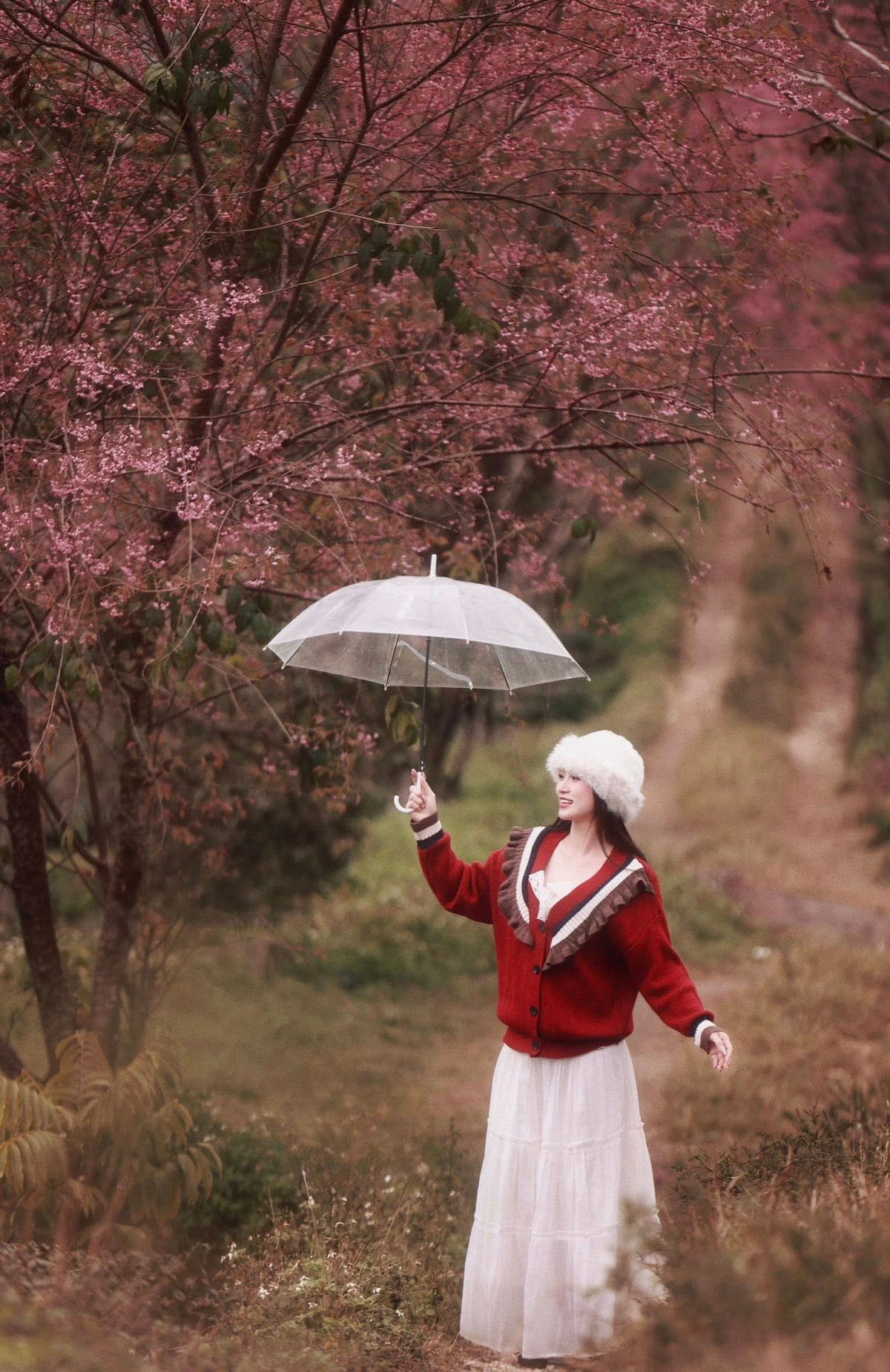 Không chỉ đơn thuần là loài hoa làm đẹp cảnh quan, mai anh đào còn được xem là biểu tượng của sức sống bền bỉ. Nở trong giá lạnh, khi nhiều loài hoa khác còn “ngủ đông”, mai anh đào mang theo thông điệp về sự khởi đầu mới, niềm hy vọng và những điều tích cực đang chờ đợi phía trước. Ảnh Nam Lêu Lổng