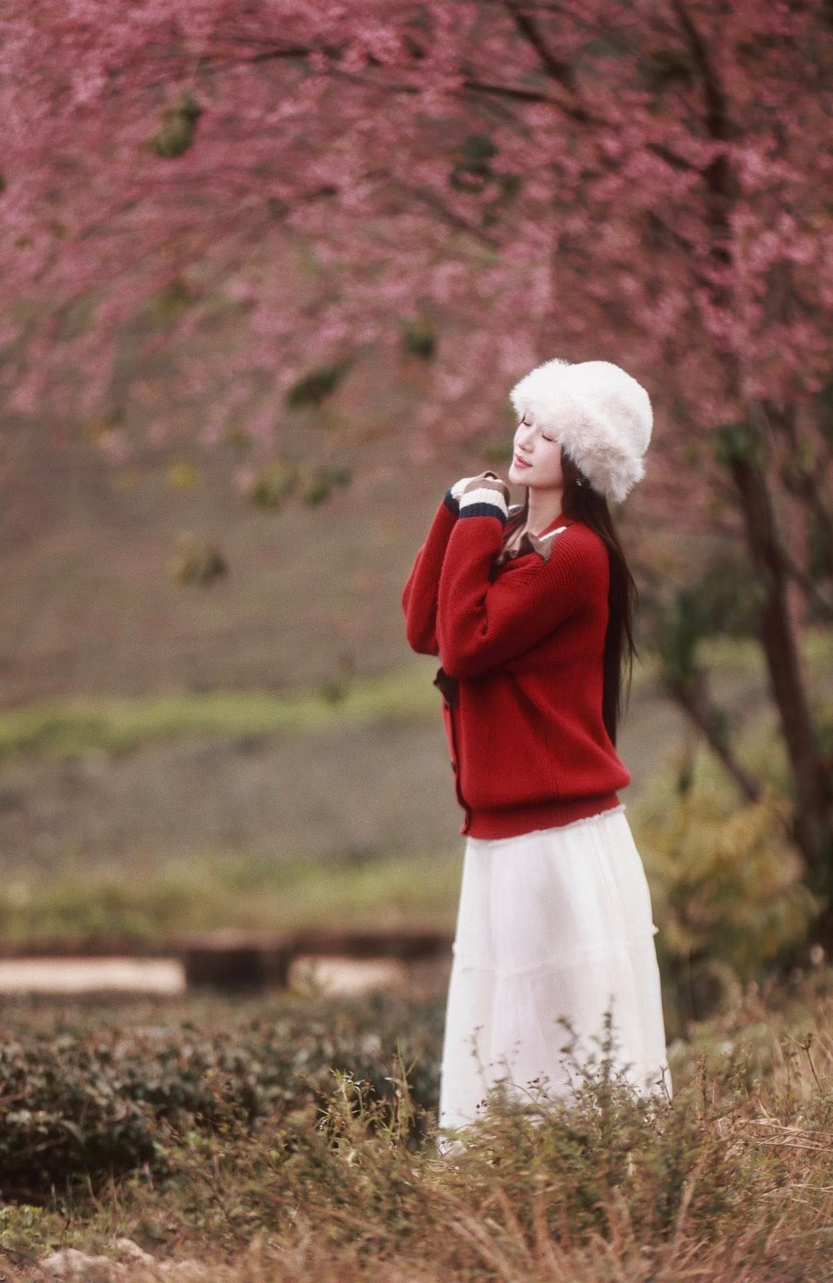 Theo ghi nhận, thời điểm hoa nở đẹp nhất thường rơi vào buổi sáng sớm, khi sương còn bảng lảng và ánh nắng vừa lên. Không gian yên tĩnh, trong lành giúp du khách có cảm giác thư thái, dễ dàng cảm nhận trọn vẹn vẻ đẹp của thiên nhiên và nhịp sống chậm rãi nơi làng chè. Ảnh Nam Lêu Lổng