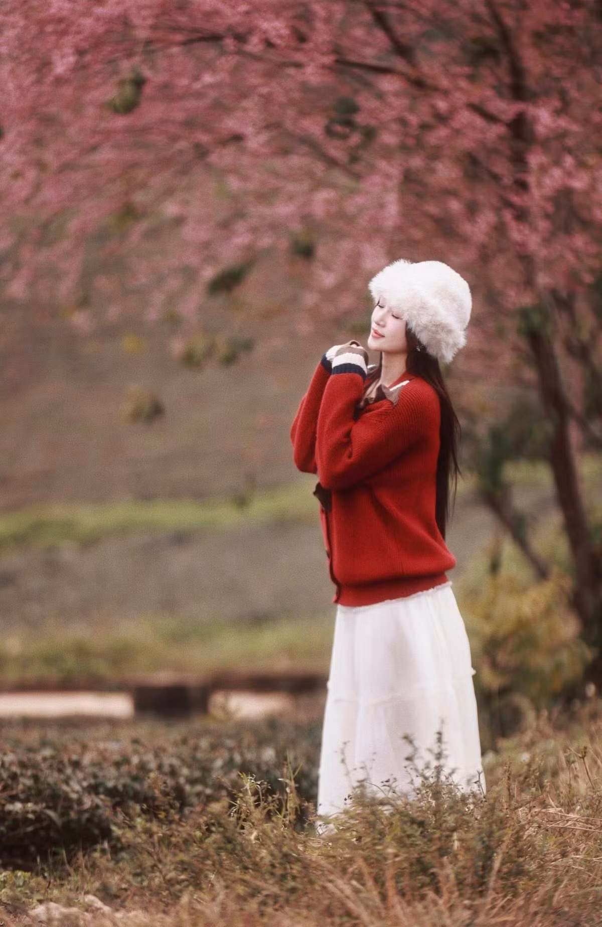 Theo ghi nhận, thời điểm hoa nở đẹp nhất thường rơi vào buổi sáng sớm, khi sương còn bảng lảng và ánh nắng vừa lên. Không gian yên tĩnh, trong lành giúp du khách có cảm giác thư thái, dễ dàng cảm nhận trọn vẹn vẻ đẹp của thiên nhiên và nhịp sống chậm rãi nơi làng chè. Ảnh Nam Lêu Lổng