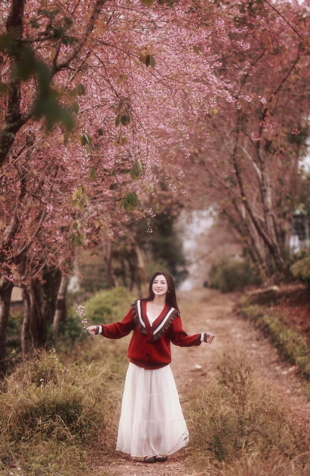 Dù chưa bước sang mùa du lịch cao điểm, các con đường mai anh đào ở làng chè vẫn thu hút đông du khách, đặc biệt là các bạn trẻ và nhiếp ảnh gia. Nhiều người lựa chọn đến Mộc Châu vào thời điểm này để tránh cảnh đông đúc, đồng thời săn những khung hình mang sắc thái rất riêng của cuối đông vùng cao. Ảnh Nam Lêu Lổng