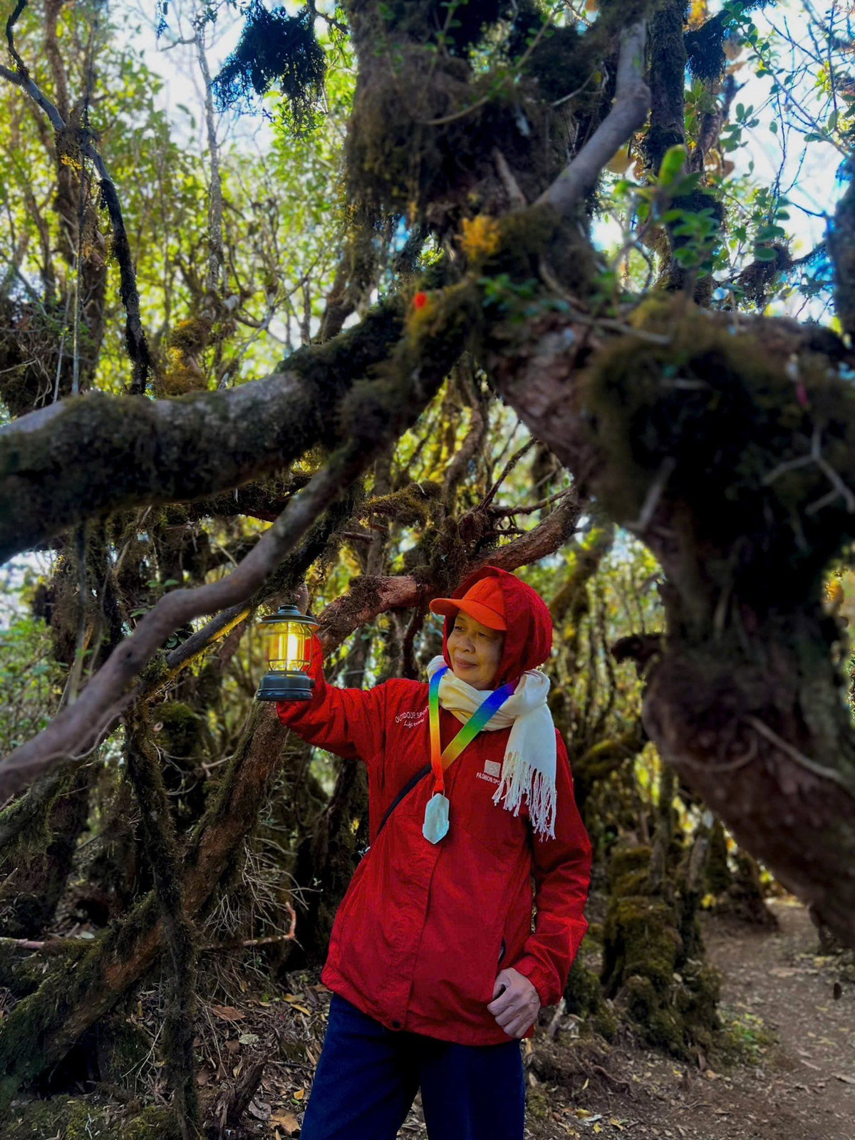 Không ít lần, chính các bạn trẻ phải thốt lên đầy nể phục: “Cô leo khỏe hơn tụi em chị ạ!”.