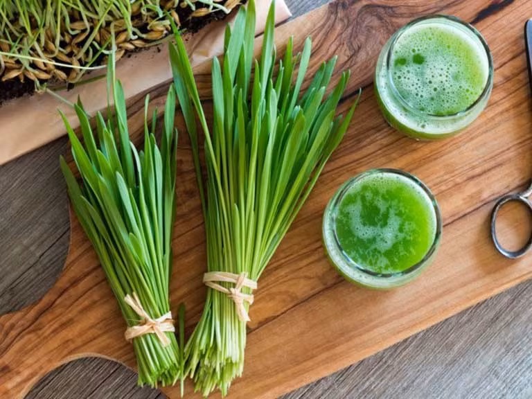 Dùng nước ép lá hẹ tươi là cách đơn giản nhất: rửa sạch, giã lấy nước uống hai lần mỗi ngày, thực hiện khoảng một tuần sẽ giúp cải thiện sinh lý.