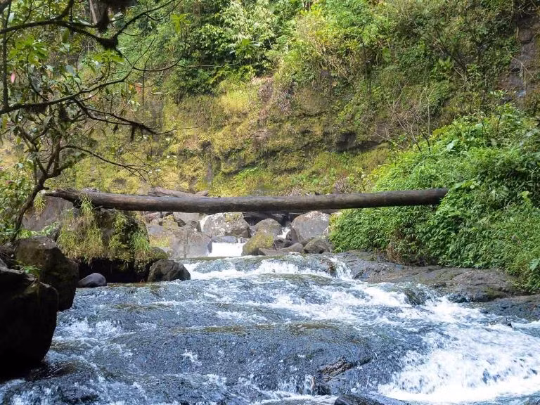 Để đến thác, du khách cần di chuyển khoảng 20km từ trung tâm thành phố Bảo Lộc, trong đó đoạn đường gần thác kéo dài gần chục km với nhiều cung đường nhỏ và gồ ghề, đặc biệt khó đi vào mùa mưa. Ảnh Nguyễn Quốc Trường
