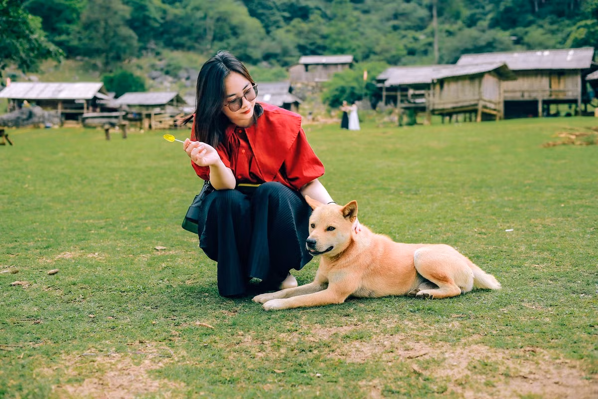 Từ đây, du khách cũng có thể kết hợp ghé thăm các điểm nổi tiếng khác như: rừng thông bản Áng, thác Dải Yếm, đồi chè trái tim, Happy Land... Ảnh Phạm Tú