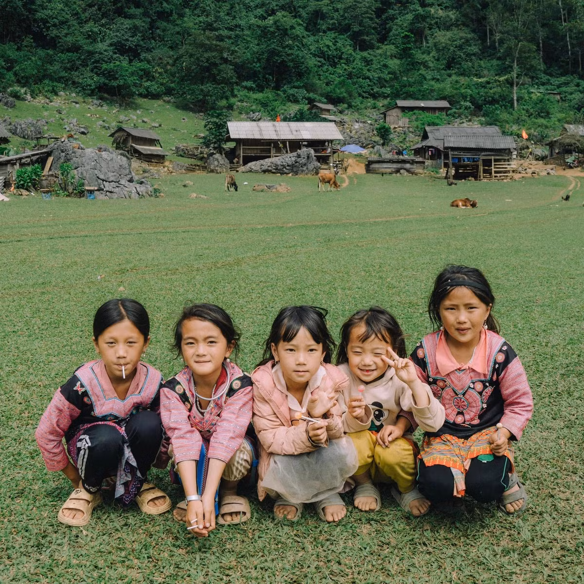 Để đáp ứng nhu cầu du lịch trải nghiệm giữa thiên nhiên hoang sơ, nhiều công ty lữ hành đã xây dựng các tour đến Hang Táu theo hình thức khách ghép hoặc trọn gói. Discover Mộc Châu, cung cấp tour nửa ngày vào Hang Táu với mức giá từ 560.000 đến 850.000 đồng/khách, bao gồm xe đưa đón, hướng dẫn viên bản địa, hỗ trợ chụp ảnh, flycam và trà – cà phê nhẹ. Ảnh Bùi Quang Thụy