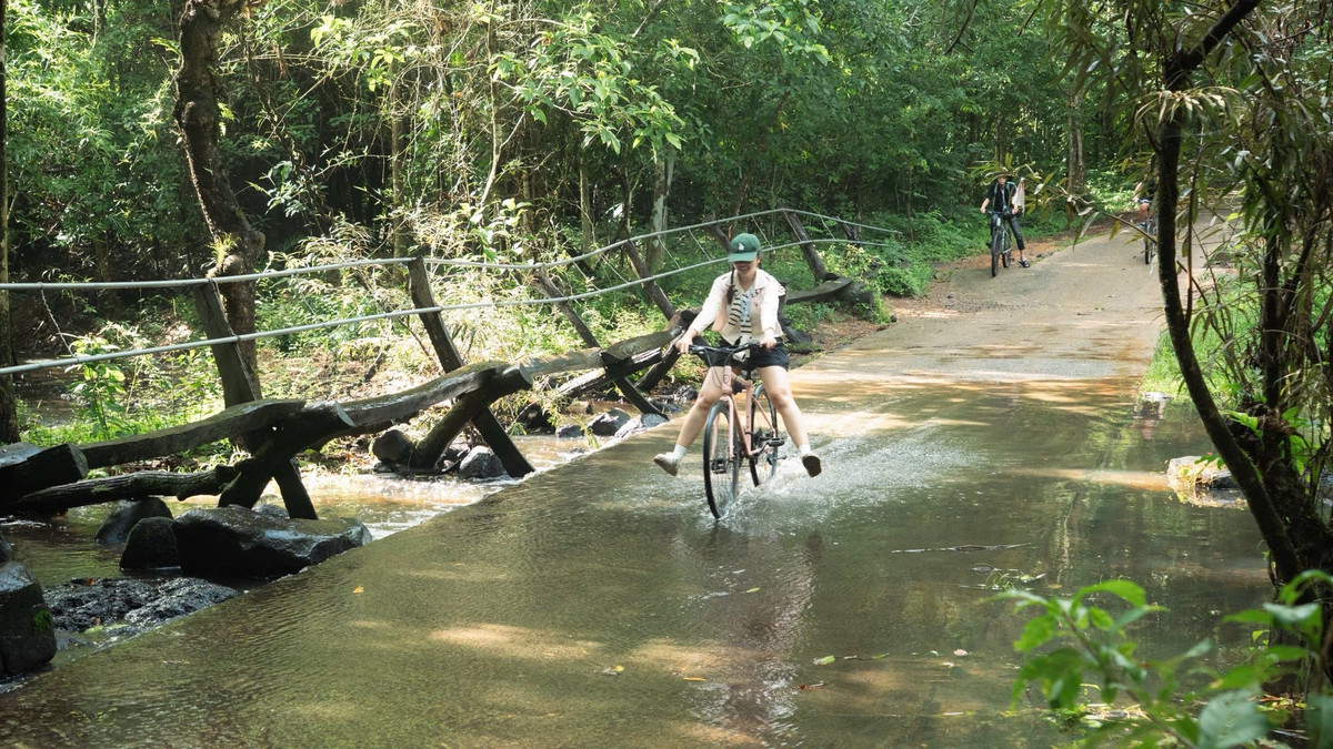 View - 4 tọa độ sống ảo tuyệt đẹp ở Vườn Quốc gia Nam Cát Tiên khiến du khách say mê | Báo Tri thức và Cuộc sống - TIN TỨC PHỔ BIẾN KIẾN THỨC 24H