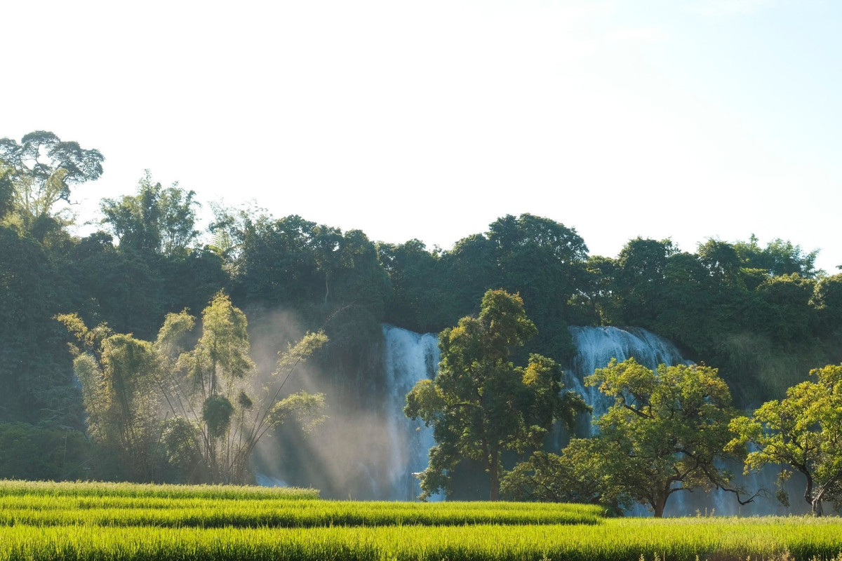 Du khách có thể lựa chọn ngồi thuyền tre trên sông để ngắm nhìn thác ở cự ly gần, cảm nhận hơi nước mát lành phả vào mặt, mang đến trải nghiệm khó quên. Ảnh Phạm Văn Phong