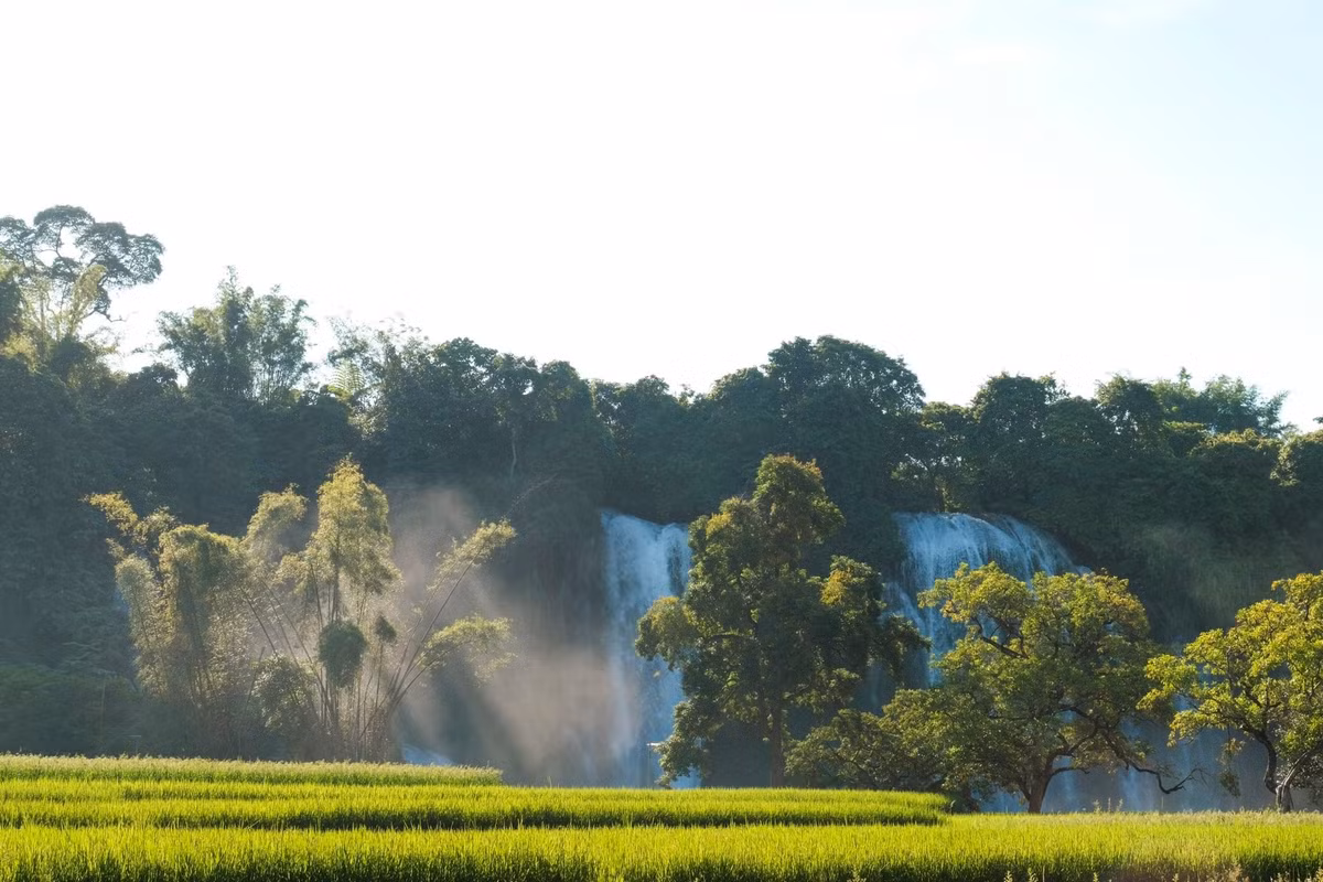 Du khách có thể lựa chọn ngồi thuyền tre trên sông để ngắm nhìn thác ở cự ly gần, cảm nhận hơi nước mát lành phả vào mặt, mang đến trải nghiệm khó quên. Ảnh Phạm Văn Phong