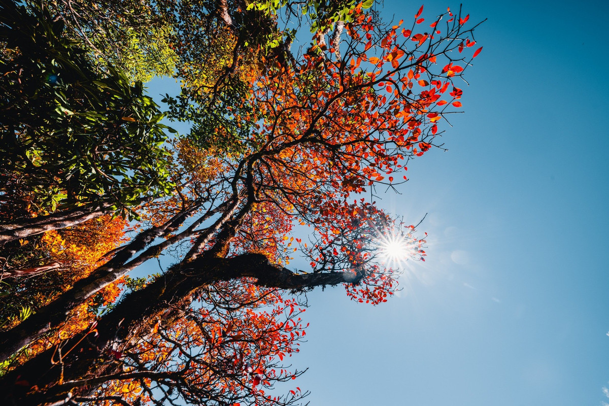 Đây cũng là thời điểm “vàng” để ghi lại những khoảnh khắc đẹp, lưu giữ ký ức khó quên về Tây Bắc. Ảnh Van Ngo