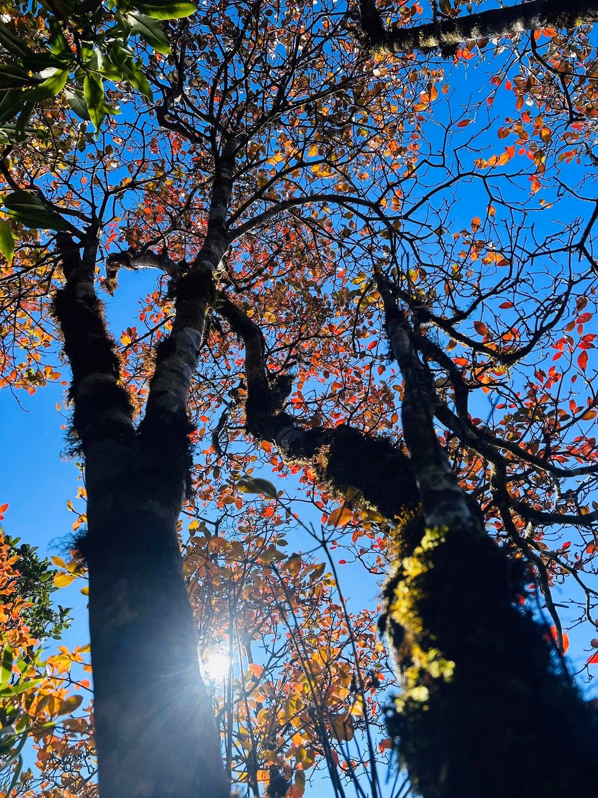 Dù đi tự túc hay chọn tour, việc lên kế hoạch trước, theo dõi dự báo thời tiết và chuẩn bị đầy đủ vật dụng vẫn là điều quan trọng nhất. Ảnh Nguyễn Thu Hương