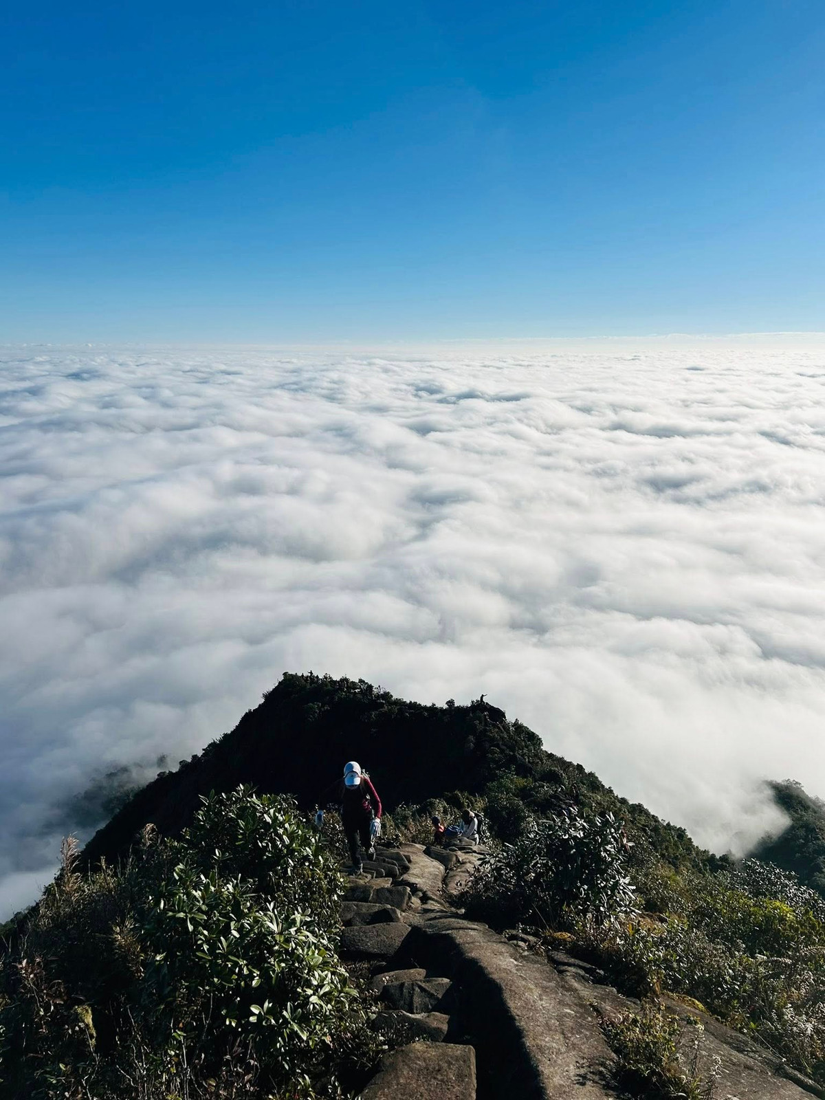 Buổi sáng, đỉnh núi thường chìm trong mây sương, khung cảnh mờ ảo tựa tranh thủy mặc, khiến nhiều du khách cảm thấy như lạc vào thế giới khác. Ảnh Nguyễn Thu Hương