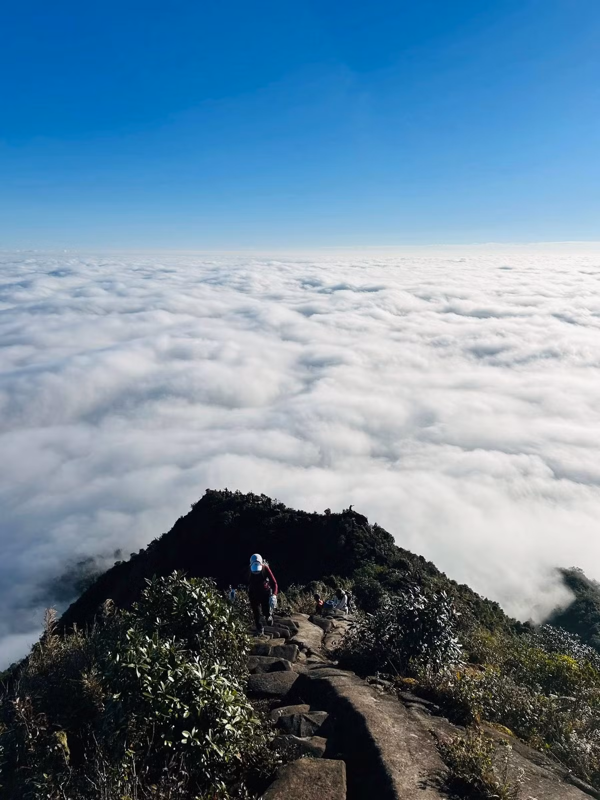 Buổi sáng, đỉnh núi thường chìm trong mây sương, khung cảnh mờ ảo tựa tranh thủy mặc, khiến nhiều du khách cảm thấy như lạc vào thế giới khác. Ảnh Nguyễn Thu Hương