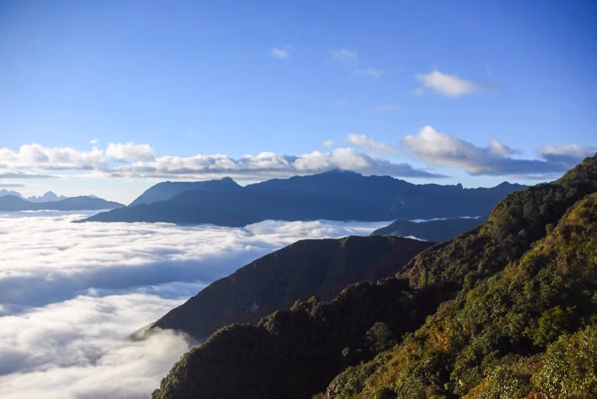 Cung đường trekking trải dài với những đoạn dốc, đường trơn trượt, sống lưng đá cheo leo và rừng già phủ rêu phong. Mỗi bước đi là thử thách, nhưng đồng thời cũng là cơ hội để hòa mình vào thiên nhiên hoang sơ, khám phá những góc núi hẻo lánh mà ít người đặt chân đến. Ảnh Nguyễn Thu Hương