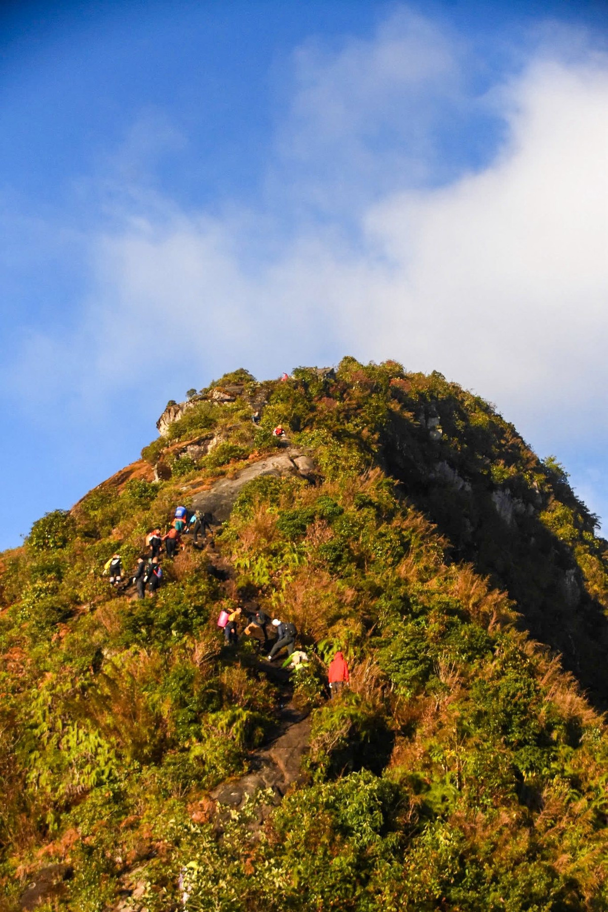Chinh phục Bạch Mộc Lương Tử không phải dễ dàng. Hành trình kéo dài từ ba đến bốn ngày, đòi hỏi thể lực và tinh thần vững vàng. Du khách cần chuẩn bị kỹ lưỡng đồ dùng cá nhân, thực phẩm, nước uống và thuốc men. Vì nhiệt độ ban đêm có thể xuống thấp và xuất hiện băng giá, trang phục giữ ấm là vật dụng không thể thiếu. Ảnh Nguyễn Thu Hương