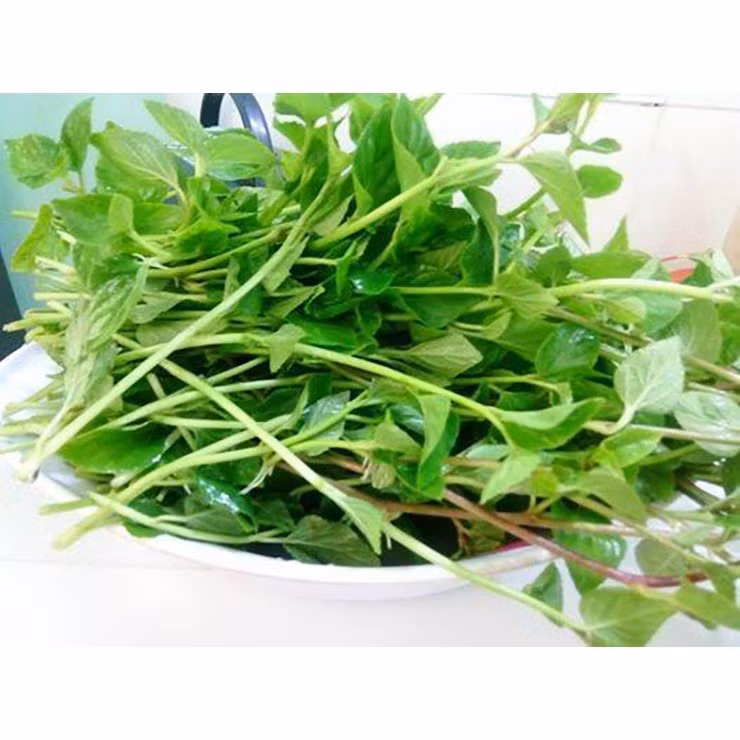 Không dừng lại ở giá trị ẩm thực, trong dân gian, rau lỗ bình còn được xem là loại rau có lợi cho sức khỏe, hỗ trợ giảm viêm họng, đau nhức xương khớp hay phong tê thấp.