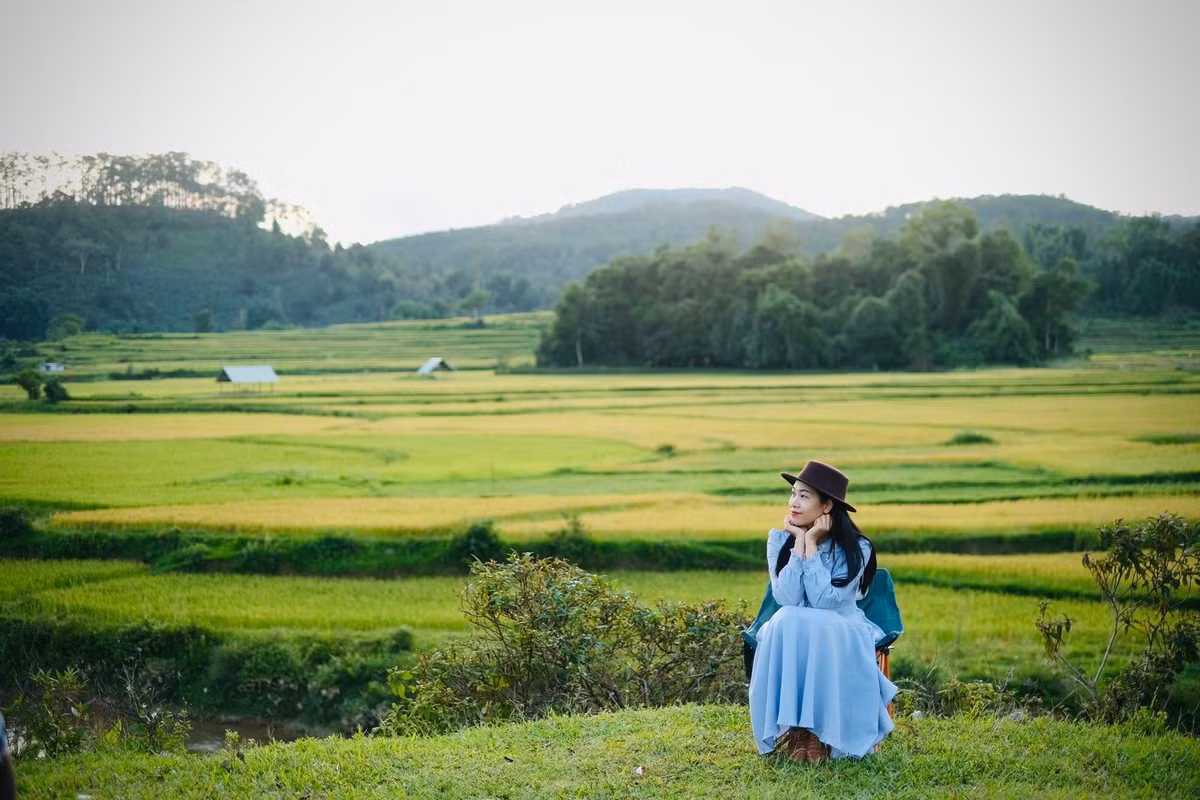 Khi những cơn mưa đầu mùa dịu lại, nắng nhẹ bắt đầu hong khô mặt đất đỏ bazan cũng là lúc cánh đồng Kon Vơng (huyện Kon Plông, tỉnh Kon Tum) bước vào thời kỳ đẹp nhất trong năm. Mùa lúa chín nơi cao nguyên này không chỉ là thời điểm thu hoạch, mà còn là mùa hội tụ ký ức, văn hóa và sinh kế của người Mơ Nâm – một dân tộc thiểu số ít người, sống chủ yếu tại vùng đất Măng Đen. Ảnh Thu Thủy