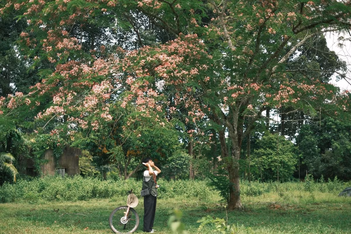 Sự kết hợp ấy mang đến cảm giác dễ chịu, giúp du khách như được gột rửa những ưu phiền, thả lỏng tâm trí sau những ngày bộn bề với công việc và cuộc sống. Ảnh Nguyenvuhoanganh