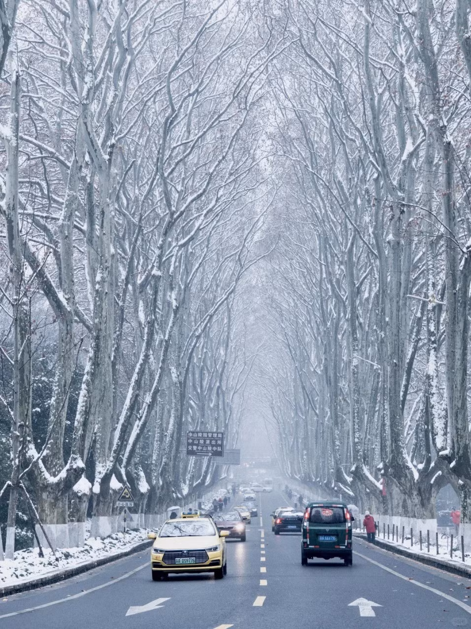 Với du khách muốn trải nghiệm trọn vẹn, nhiều công ty lữ hành như Vintours, Khách Việt Tour, Dai Viet Travel hay Triều Hảo Travel đều có tour Nam Kinh kết hợp các điểm lân cận như Ô Trấn, Hàng Châu, Thượng Hải. Ảnh luhanhvietnam