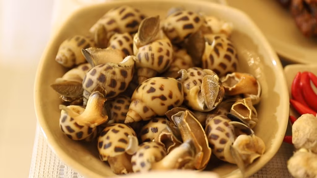 Không chỉ giúp cung cấp năng lượng, ốc hương còn mang lại nhiều lợi ích cho cơ thể. Hàm lượng kẽm dồi dào trong ốc hương góp phần tăng cường hệ miễn dịch, hỗ trợ cơ thể sản sinh các tế bào bảo vệ và nâng cao khả năng chống lại vi khuẩn, virus. Ảnh minh họa