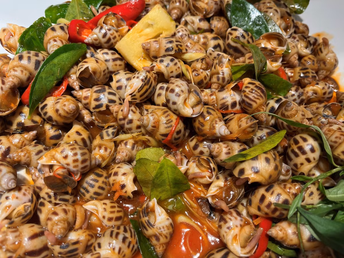 Theo các tài liệu dinh dưỡng, trong khoảng 100g thịt ốc hương tươi chỉ cung cấp từ 90–100 kcal nhưng lại chứa lượng protein tương đối cao, trong khi hàm lượng chất béo ở mức thấp. Bên cạnh đó, ốc hương còn giàu canxi, sắt, kẽm, magie và kali, cùng các vitamin nhóm B, vitamin A và E – những vi chất đóng vai trò quan trọng trong quá trình trao đổi chất và duy trì thể lực. Ảnh minh họa