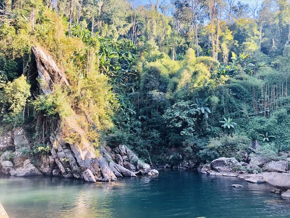Hành trình đến Mường Nhé không quá khó, nhưng đủ thử thách để du khách cảm nhận trọn vẹn sự chuyển đổi sinh cảnh theo độ cao. Con đường dẫn lên núi rợp sắc dã quỳ vàng rực mùa cuối năm, xen lẫn những tán lá xanh biếc tạo nên bức tranh đầy sức sống. Khi lên đến các điểm cao, toàn cảnh Mường Nhé hiện ra với vẻ đẹp yên bình, hoang sơ của miền rừng núi Tây Bắc. Ảnh TTTTXTDL tỉnh Điện Biên
