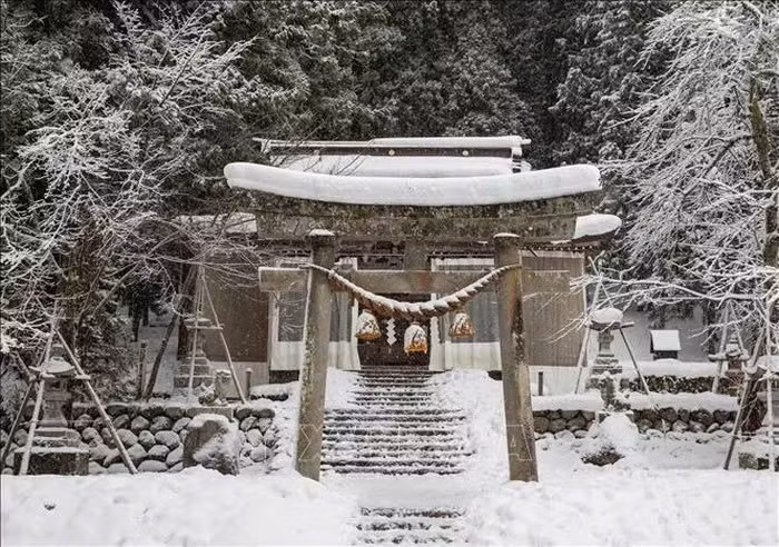 Mùa đông được xem là thời điểm đẹp nhất trong năm để ghé thăm Shirakawa-go. Ban ngày, du khách có thể thong thả dạo bước quanh làng, ngắm nhìn những ngôi nhà cổ phủ tuyết, ghé thăm các bảo tàng dân gian hay đơn giản là tận hưởng bầu không khí trong lành, yên ả hiếm có. Ảnh TTXVN